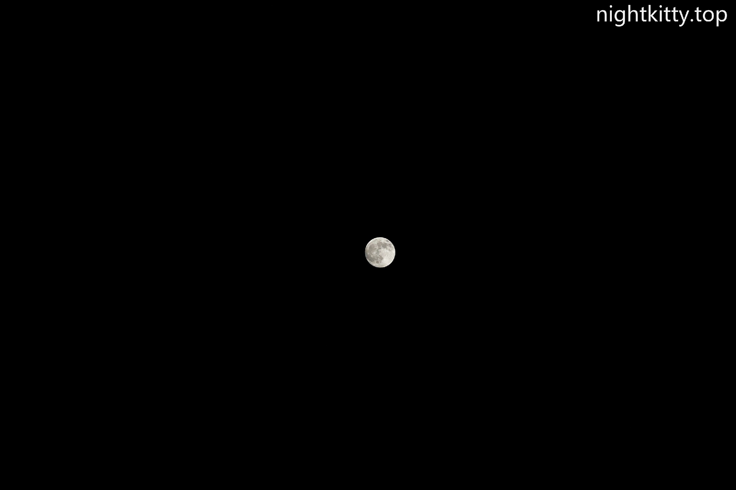 在上海的第一个中秋